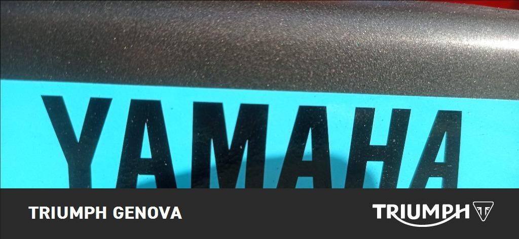 YAMAHA MT-09 890 Abs