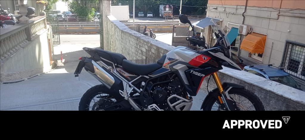 TRIUMPH Tiger 900 Rally Pro Abs