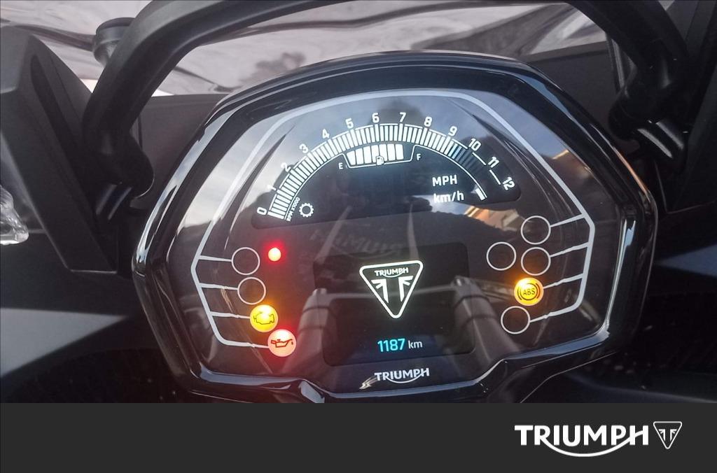 TRIUMPH Tiger Sport 800 Abs