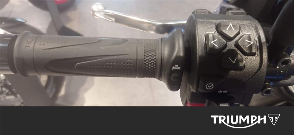 TRIUMPH Tiger Sport 800 Abs