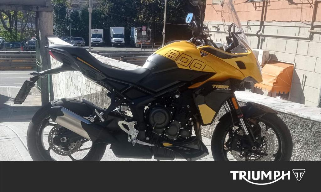 TRIUMPH Tiger Sport 800 Abs