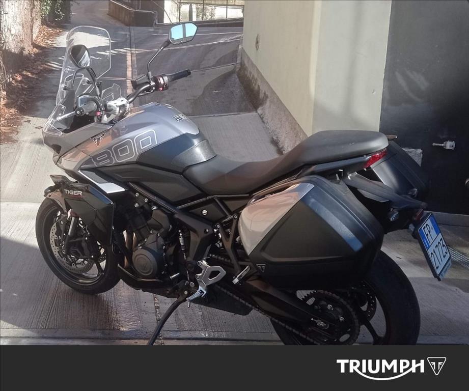 TRIUMPH Tiger Sport 800 Abs