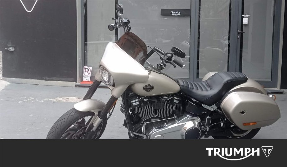 HARLEY-DAVIDSON Sport Glide 107 1745 Color