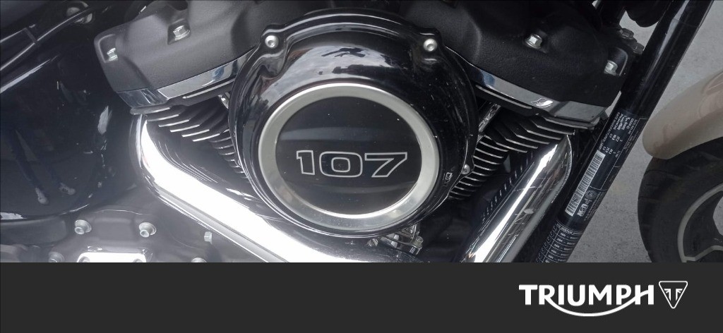 HARLEY-DAVIDSON Sport Glide 107 1745 Color