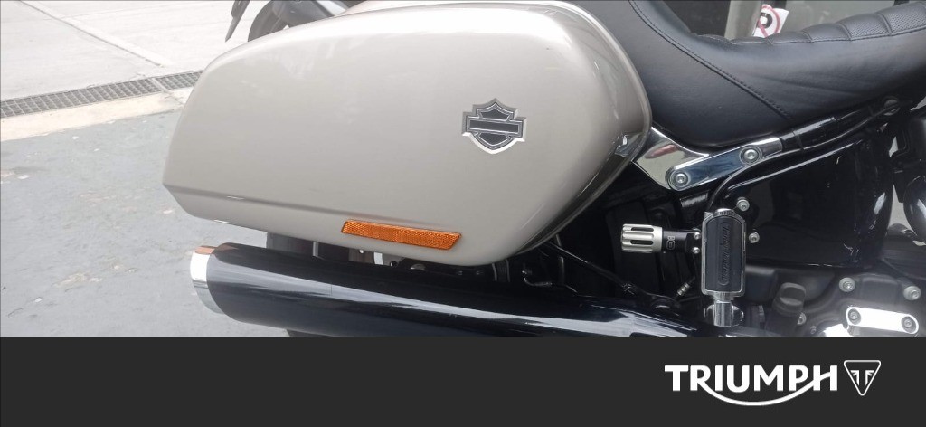 HARLEY-DAVIDSON Sport Glide 107 1745 Color