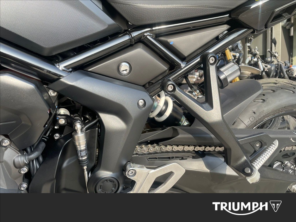 TRIUMPH Tiger Sport 800 Abs
