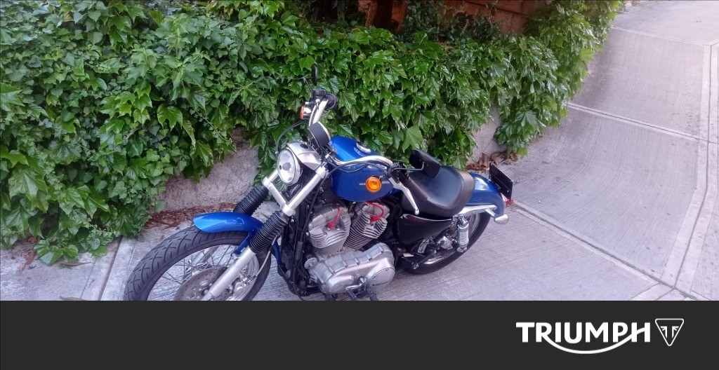 HARLEY-DAVIDSON 883 Sportster XLL Low