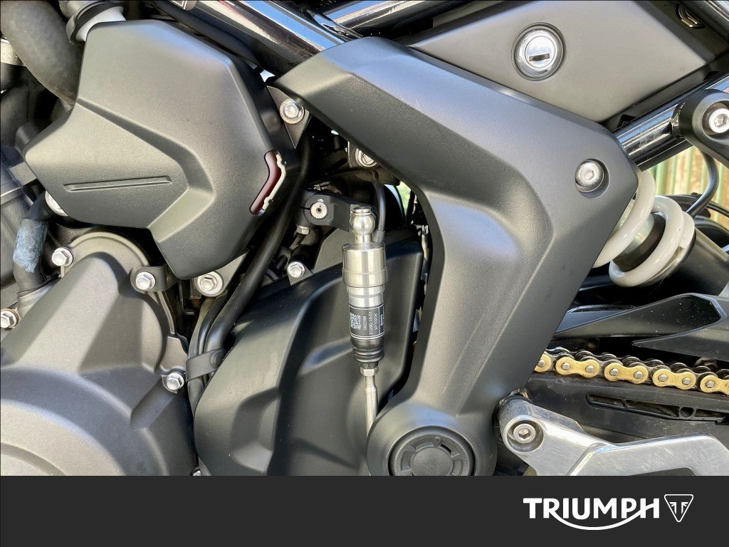 TRIUMPH Tiger Sport 660 Abs