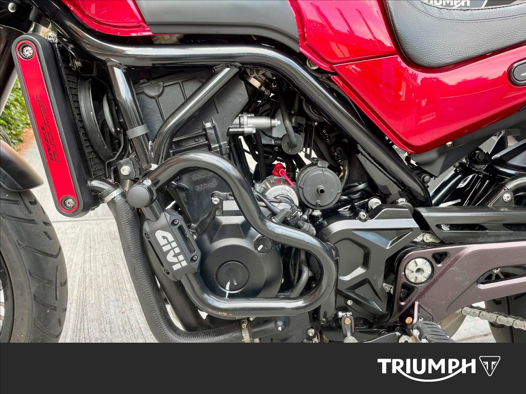 BENELLI Leoncino 500 Trail E5